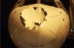 Máy bay chở đội bóng rổ NBA móp đầu vì đâm trúng ‘UFO’ lúc hạ cánh?